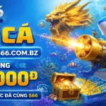 s66-fish-banner-1