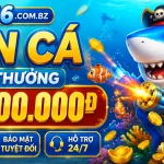 s66-fish-banner-3