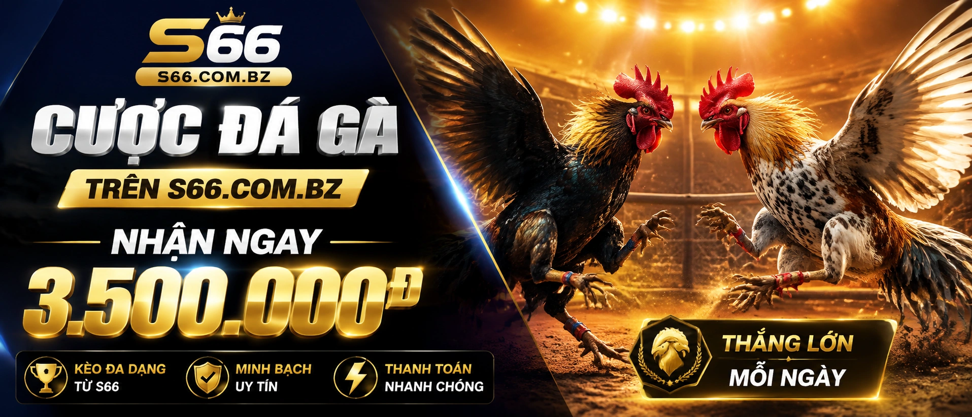 Live Casino