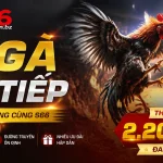 s66-livecasino-banner-2