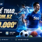s66-sports-banner-2