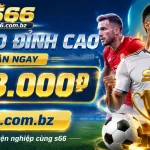 s66-sports-banner-3